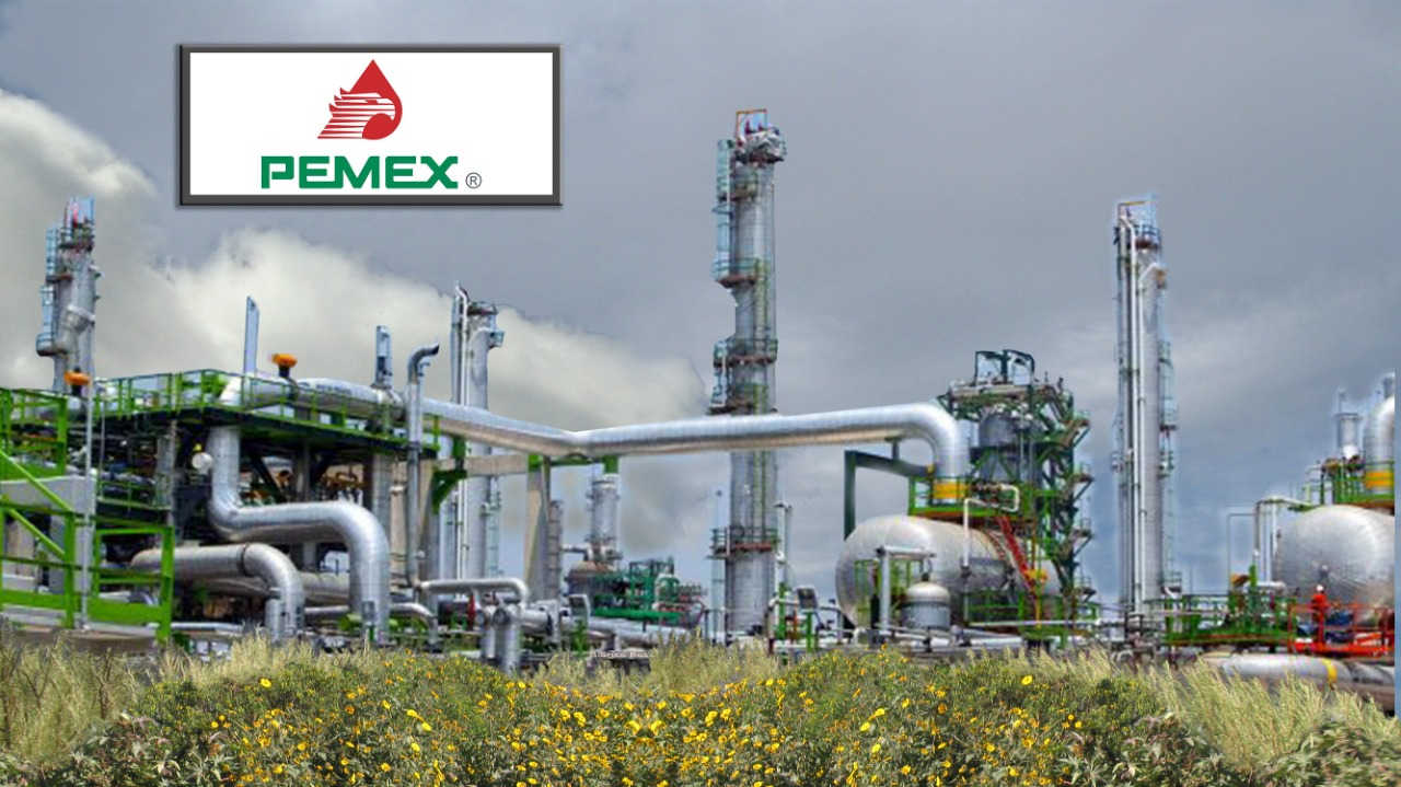 LA COMPRA DE LA REFINERÍA DEER PARK ¿NEGOCIO PARA QUIÉN?